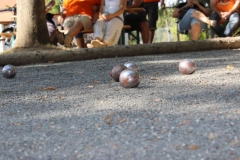 IMG_3754-750x500