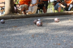 IMG_3754-768x512